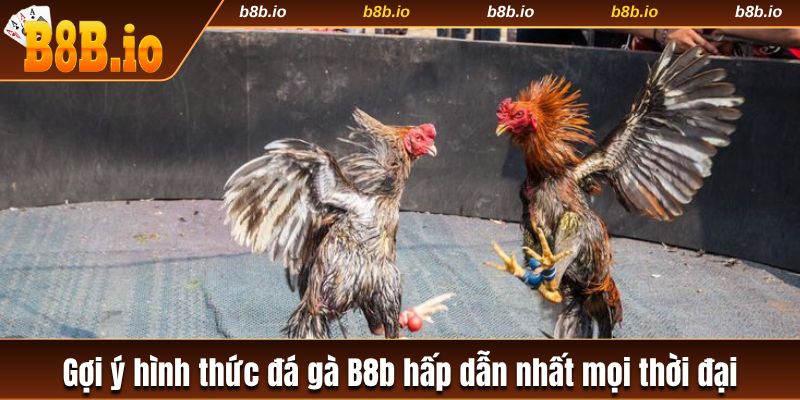 3 hình thức đá gà hấp dẫn có tại B8b